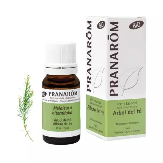 Aceite Esencial de Arbol del Te BIO 10 ml - Pranarom