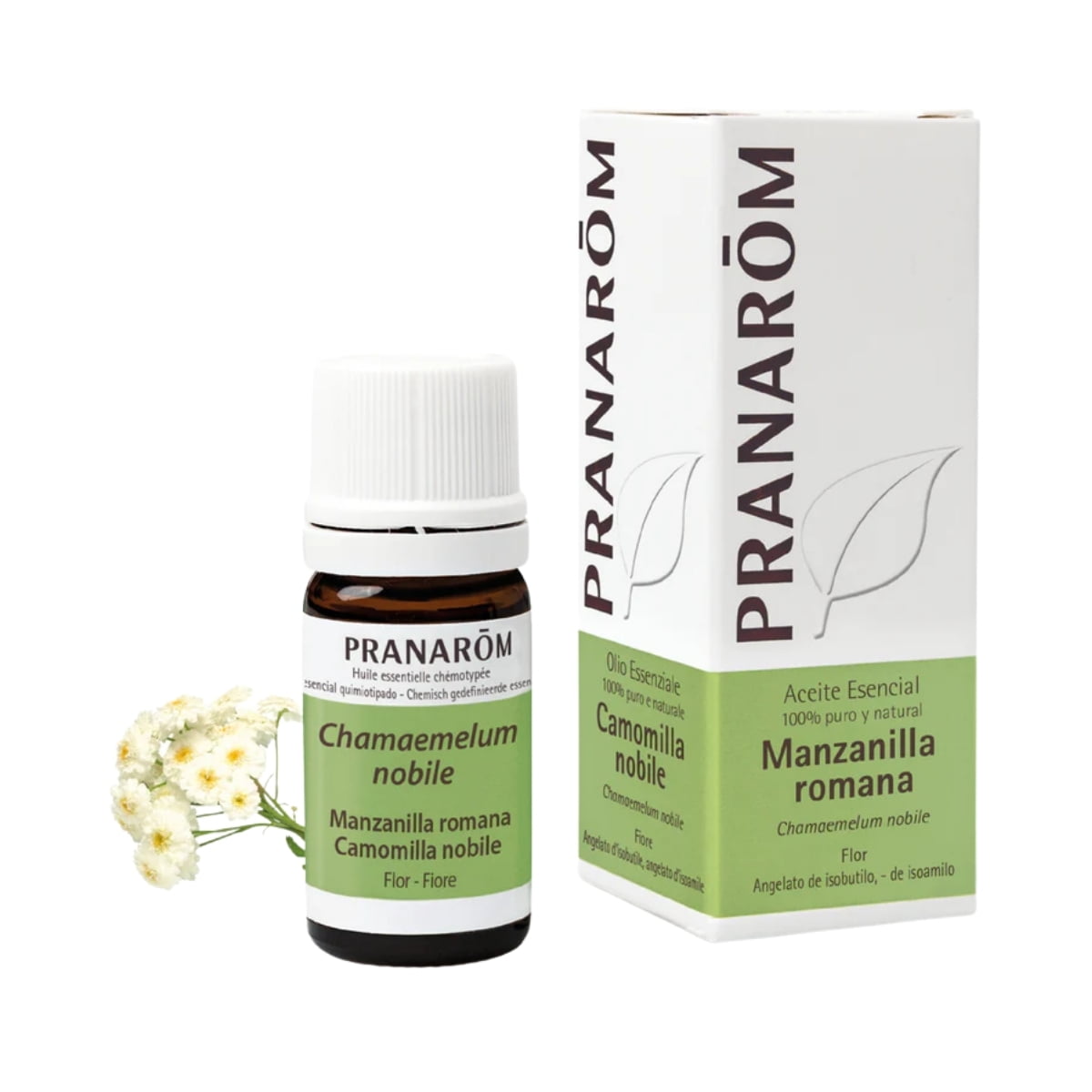 Aceite Esencial de Manzanilla Romana 5 ml – Pranarom