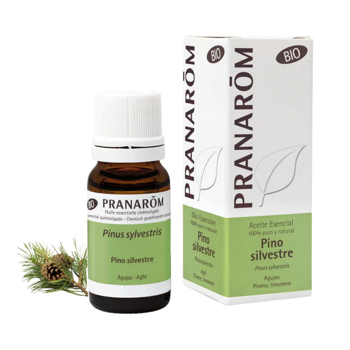 Aceite Esencial de Pino Silvestre BIO 10 ml – Pranarom