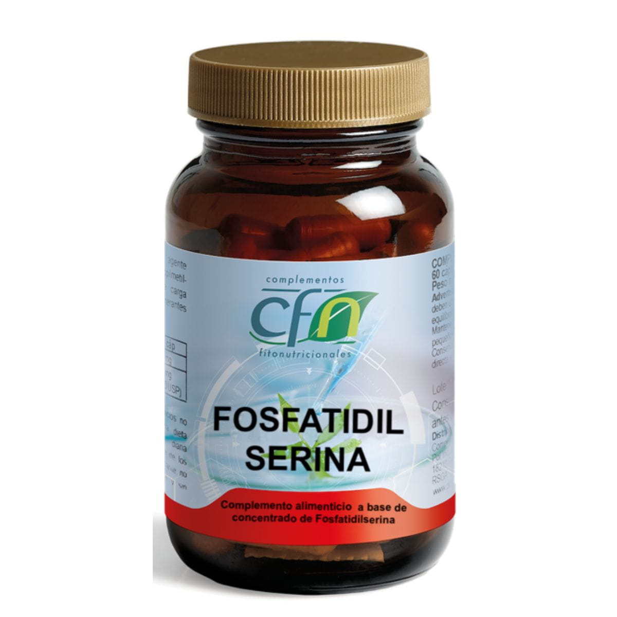 Fosfatidil Serina – 30 Cápsulas