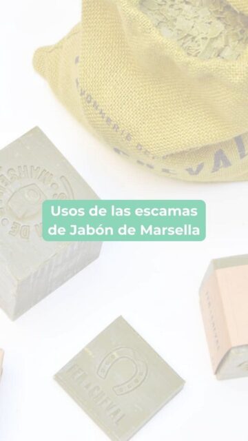 Escobilla de Baño de Madera  Cero Residuo - Tienda Online Zero Waste